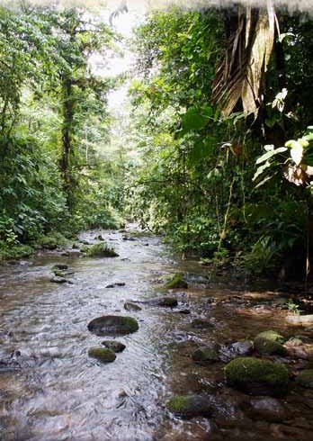 Río cristalino en Braulio Carrillo