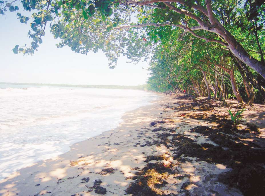 Playa del Parque Nacional Cahuita
