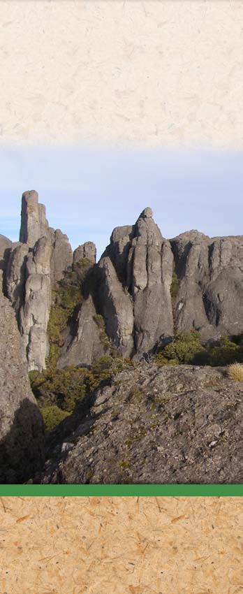 Los Crestones del Chirripó