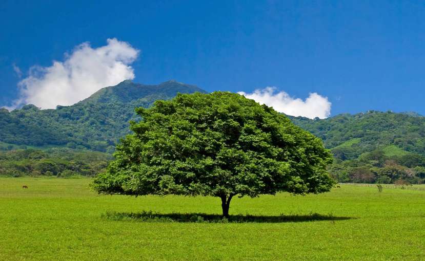 Ecoturismo en Costa Rica
