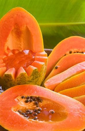 Gastronomía de Costa Rica