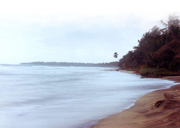 Costa salvaje del Caribe Sur