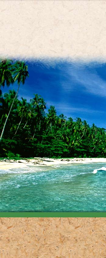 Costa caribeña del refugio Gandoca-Manzanillo