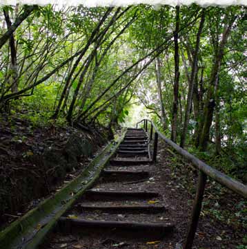 Sendero del Monumento Nacional Guayabo