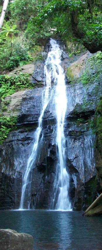 Cascada en la Isla del Coco