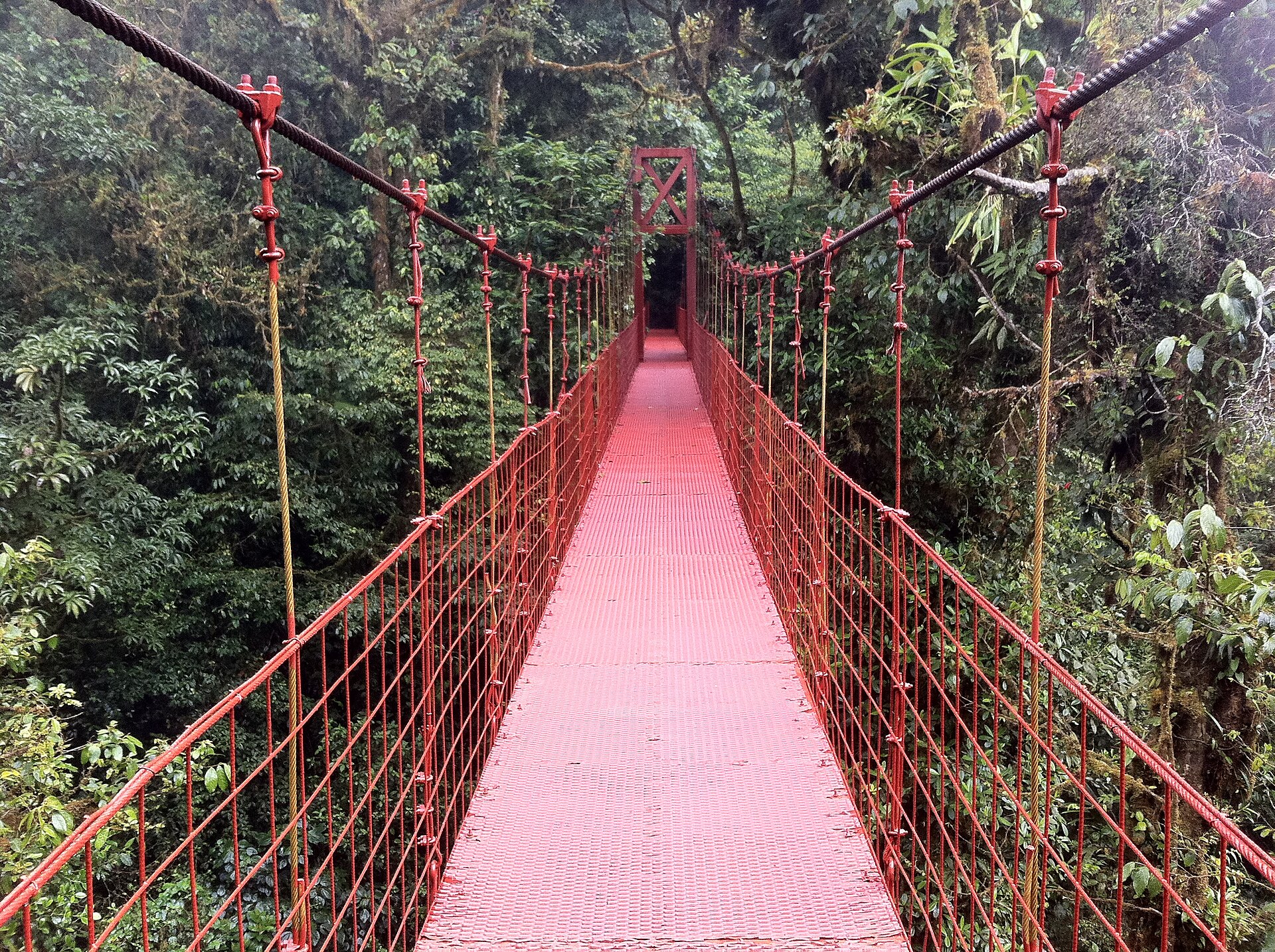Puentes colgantes en Monteverde