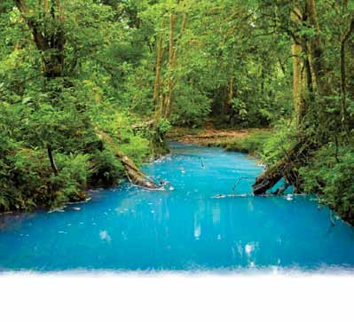 Río Celeste atravesando el bosque tropical