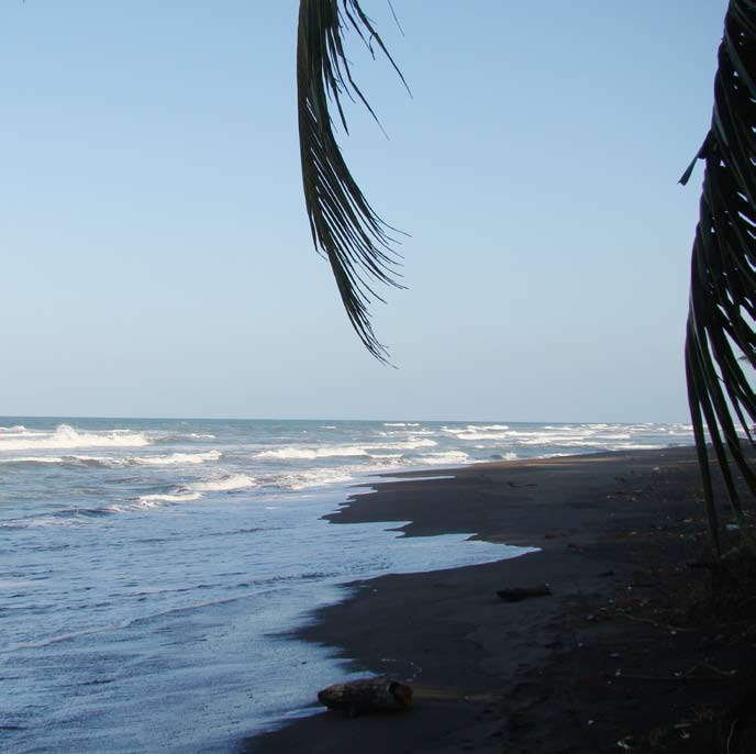 Playa de desove en Tortuguero